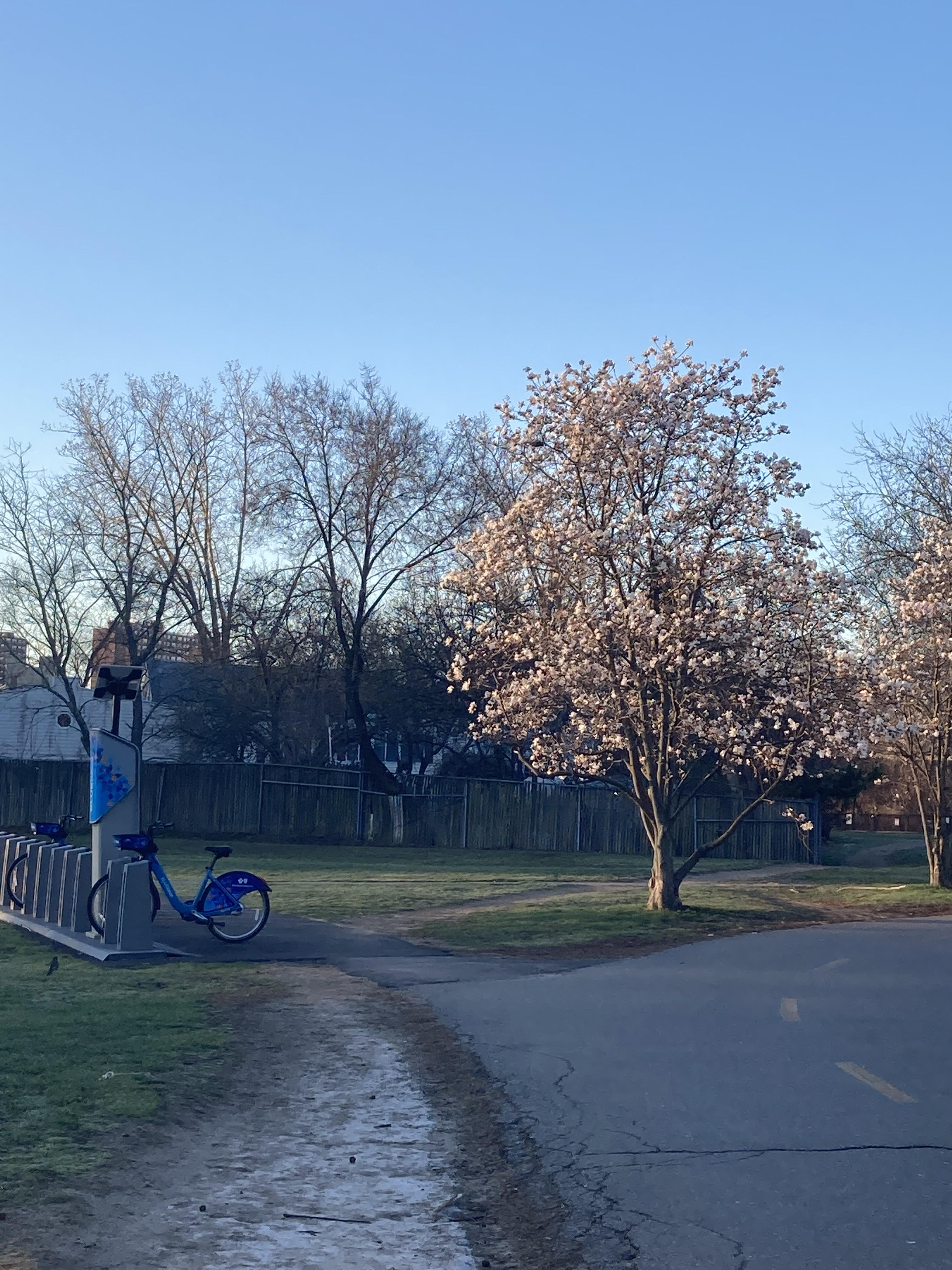 Minuteman Bikeway in Lexington